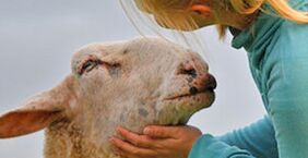 Artgemäße Tierhaltung